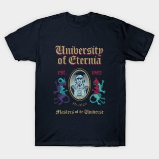 MSc in Universe Model 12 T-Shirt